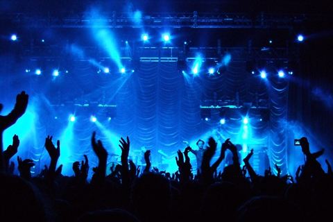 Concert crowd